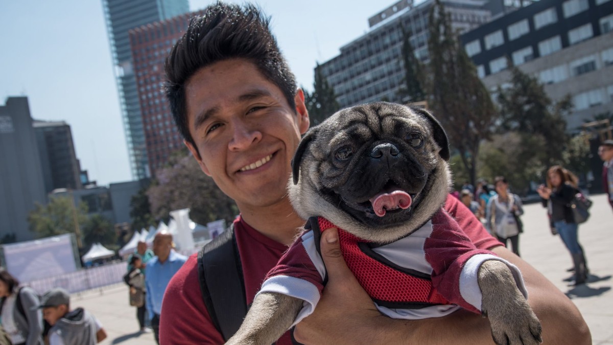 ¿Qué factores influyen en la personalidad de los perros?